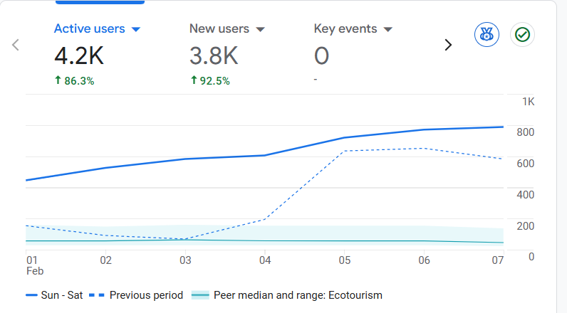 نمونه کار سئو - آنالیتیکس 2